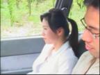 《偷极乐宝鉴》叶子楣国语百度网盘kk